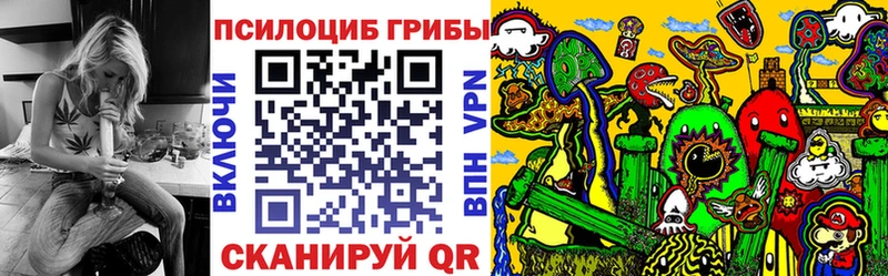 Псилоцибиновые грибы Psilocybine cubensis  Черногорск 
