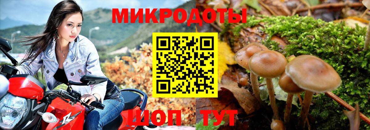 Черногорск  Псилоцибиновые грибы MAGIC MUSHROOMS  Вход с VPN 